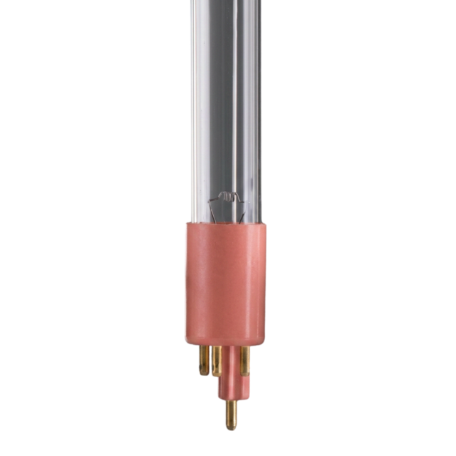 16W Lamp - Blue Lagoon (Red End)