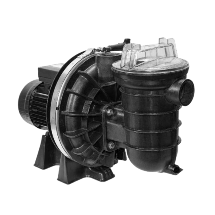 StaRite 5P2R Swimming Pool Pump Spares