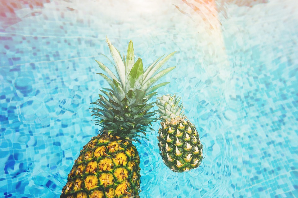 Pineapples floating in a swimming pool