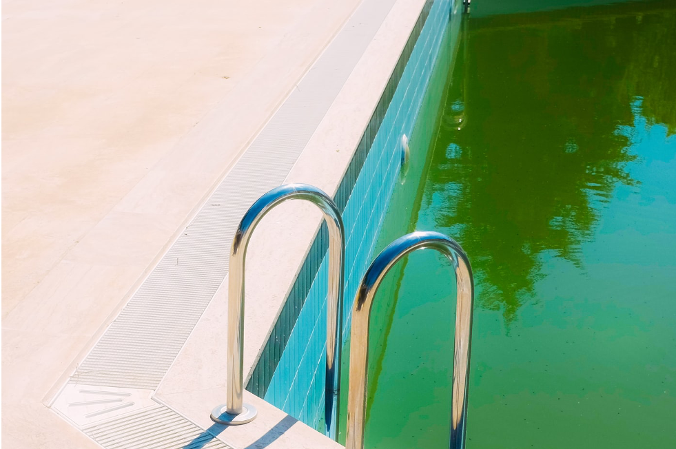 A pool with green water